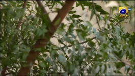 Behkaway - Episode 53 - 6th June 2025